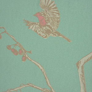 The English Robin   Jade Wallpaper