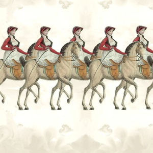 Equestrian Day Stripe Fabric