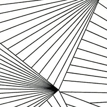 Load image into Gallery viewer, Fan Black White Wallcovering