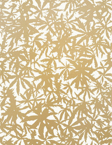 Wild Thing- Gold on Cream Wallcovering