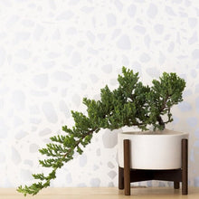 Load image into Gallery viewer, Ibo - Diamonds and Pearls (Pale Silver) on Cream Wallcovering