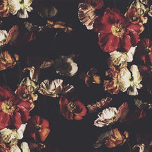 Load image into Gallery viewer, Magic Dark Wallcovering
