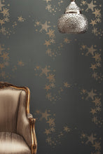 Load image into Gallery viewer, All Star - Gunmetal Wallcovering