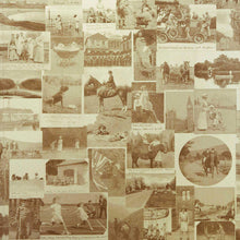 Load image into Gallery viewer, The Other Eden - Vintage Gold Wallcovering