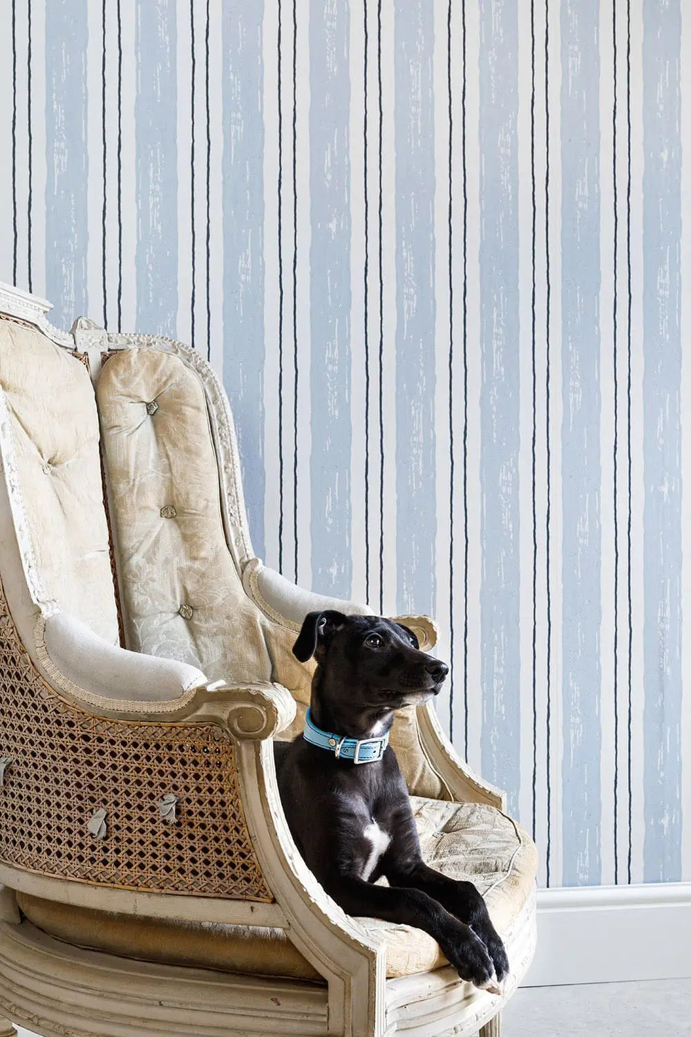 Painter's Stripe - Blue Wallcovering