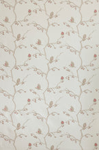 Load image into Gallery viewer, The English Robin - Parchment