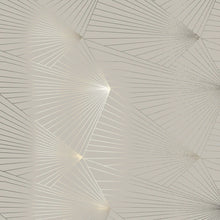 Load image into Gallery viewer, Fan Pewter Limestone Wallcovering