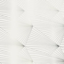 Load image into Gallery viewer, Fan Pewter White Stone Wallcovering