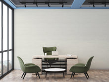 Load image into Gallery viewer, Native Grasscloth Calm Air Wallcovering