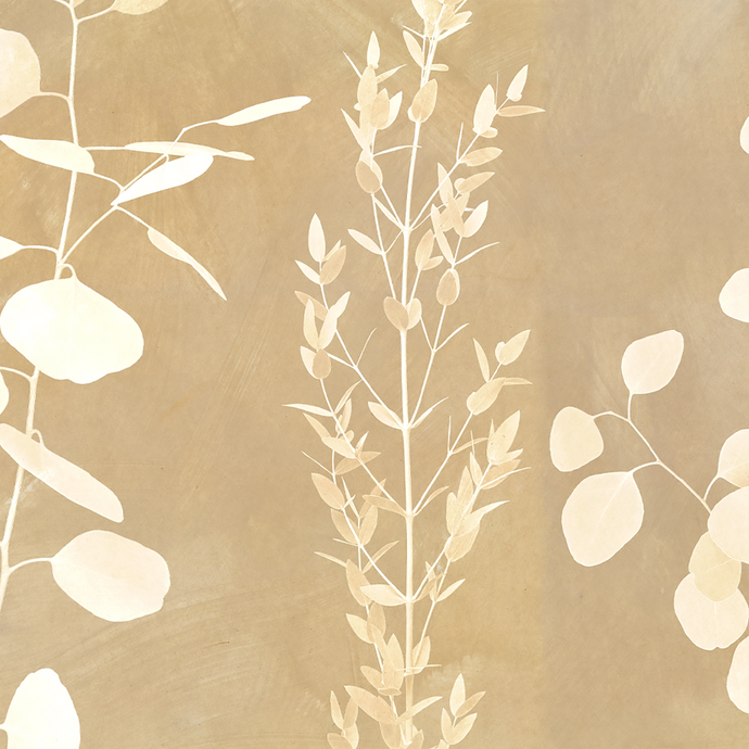 Gunnii Golden Wallcovering