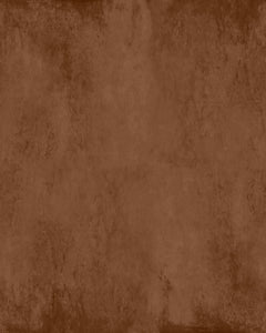 Plaster Brown Bear Wallcovering