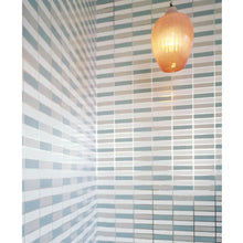 Load image into Gallery viewer, Soda Aqua and Silver Wallcovering