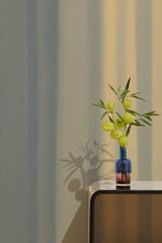 Load image into Gallery viewer, Storyline - Dawn Wallcovering