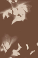 Load image into Gallery viewer, Drift Umber Wallpaper