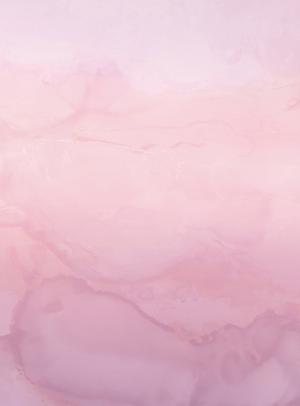 IO Bloom Wallpaper Mural