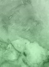 Load image into Gallery viewer, Callisto Fern Wallpaper Mural