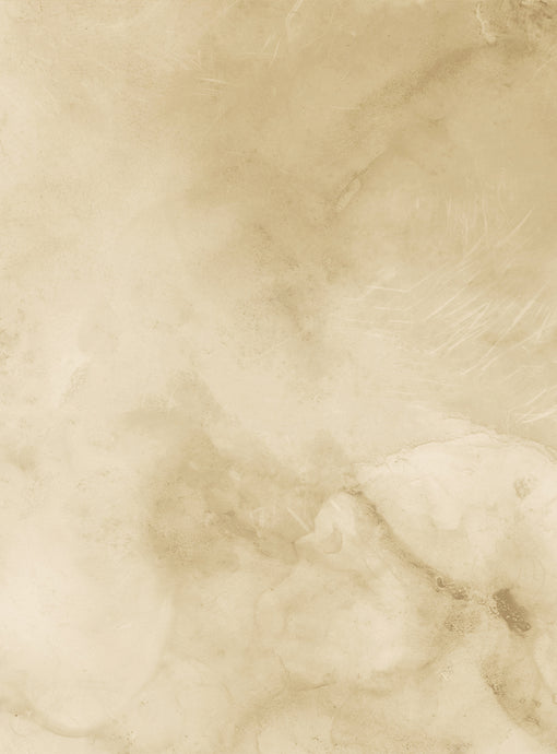 Callisto Honey Wallpaper Mural