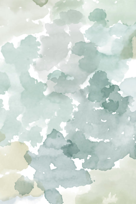Colour Field Garden