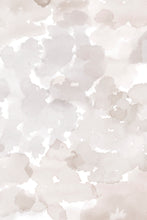 Load image into Gallery viewer, Colour Field Taupe