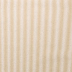 Bengal Stripe Champagne Paperback Linen