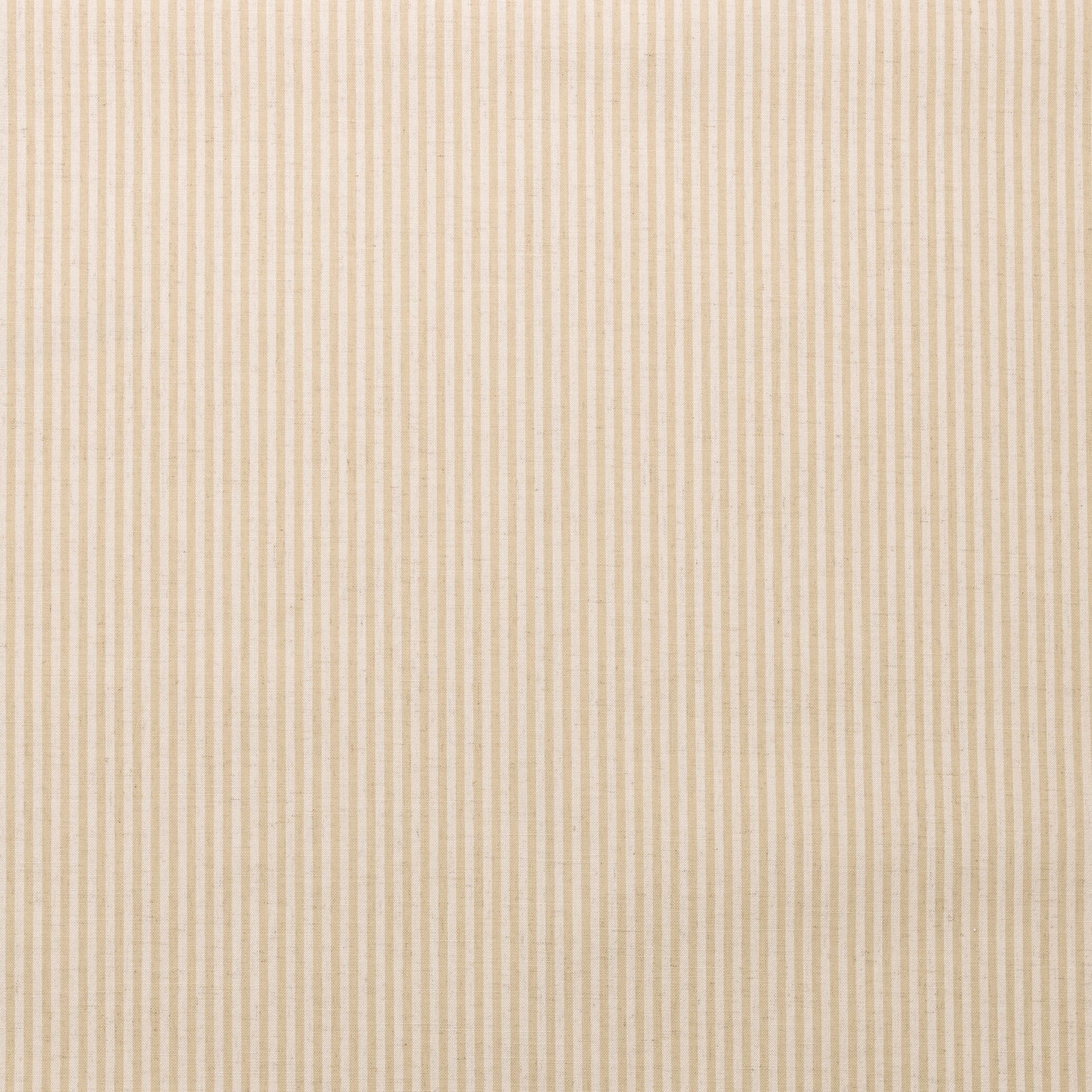 Bengal Stripe Champagne Paperback Linen
