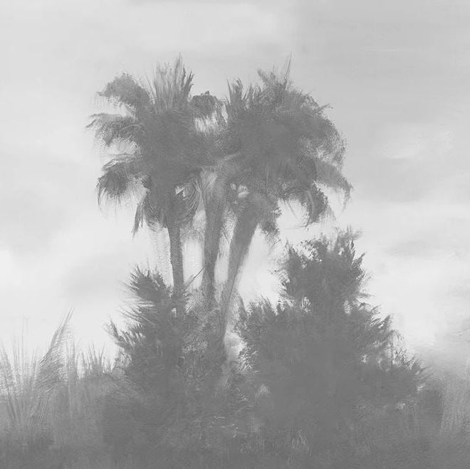 Distant Palms Misty Wallcovering