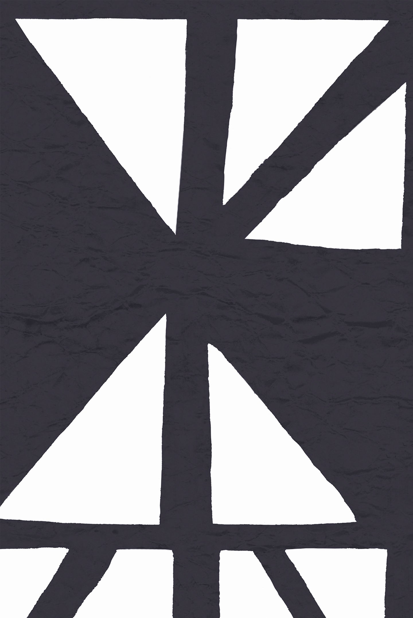 Geo-graphic Denim