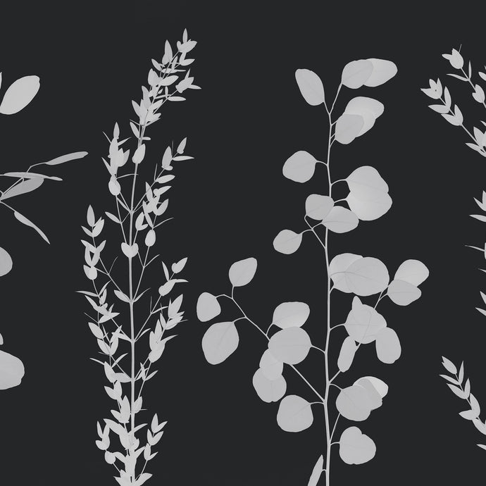 Gunnii Dawn Wallcovering
