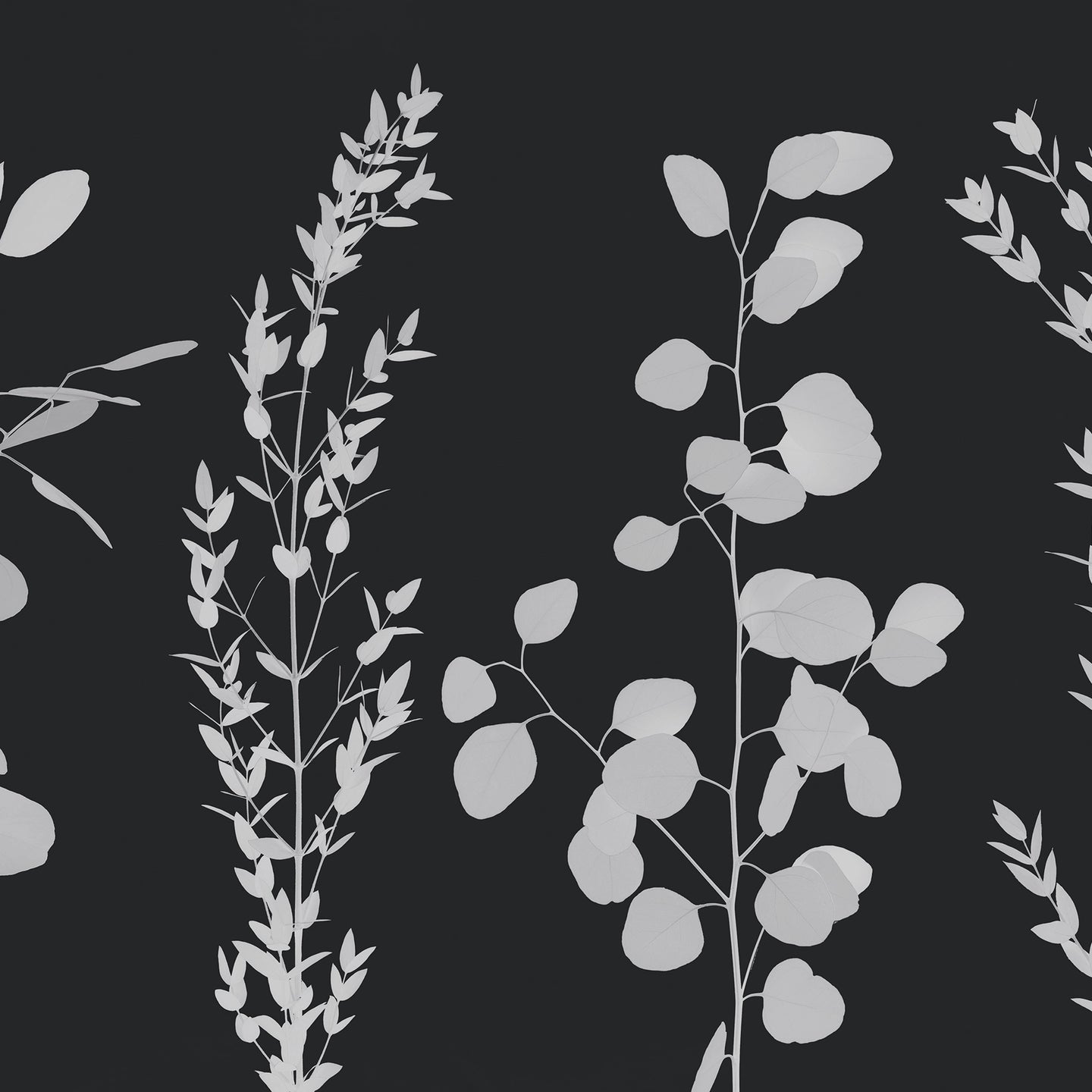 Gunnii Dawn Wallcovering
