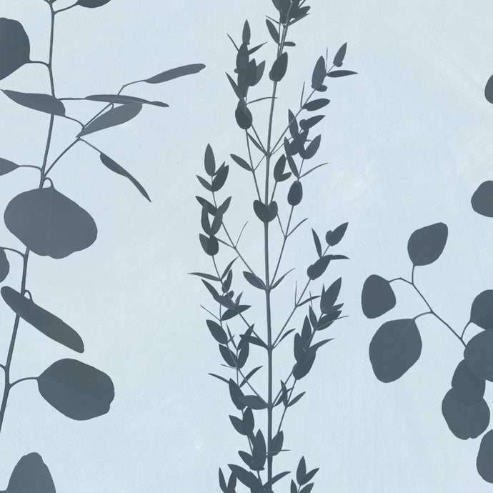 Gunnii Dusk Wallcovering