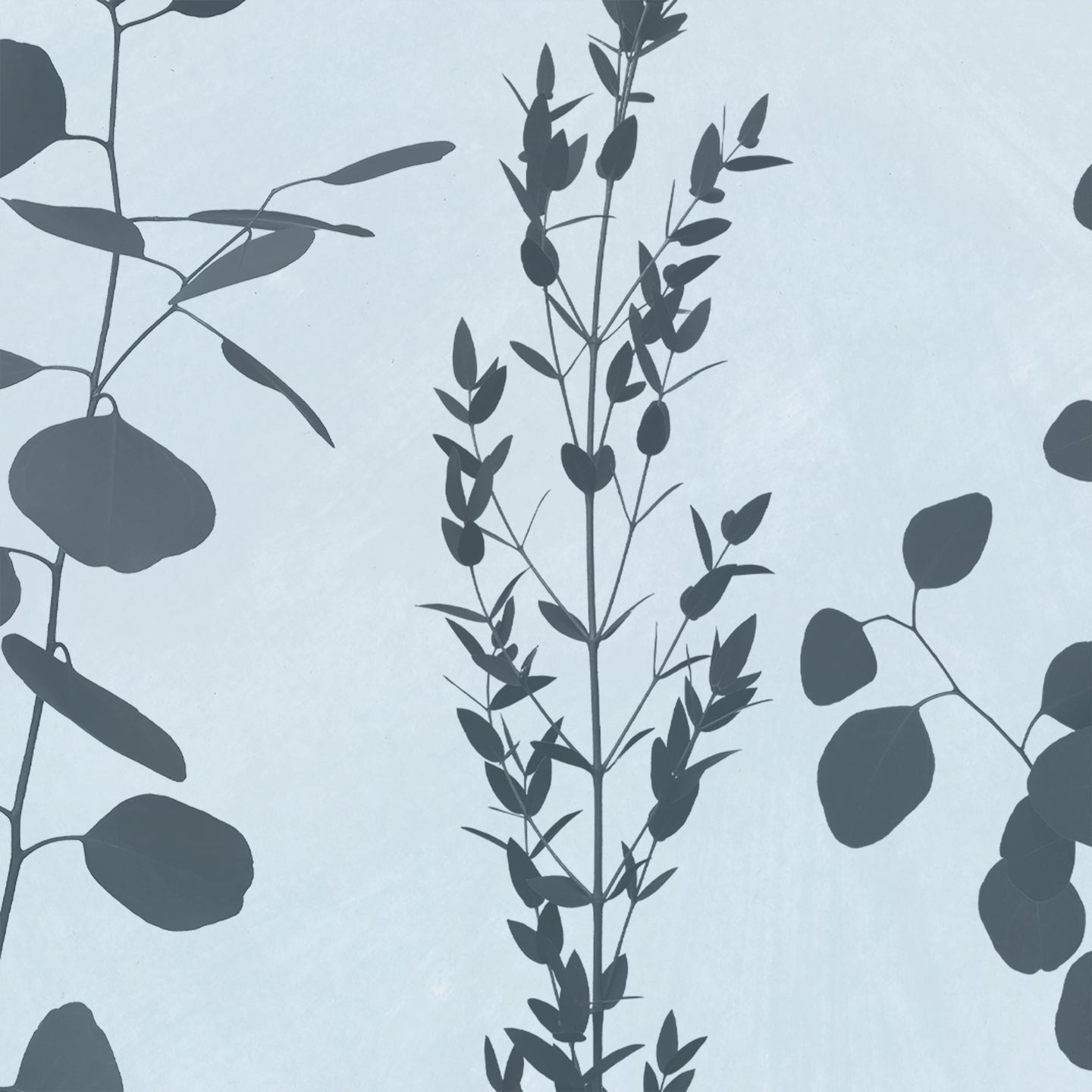 Gunnii Dusk Wallcovering