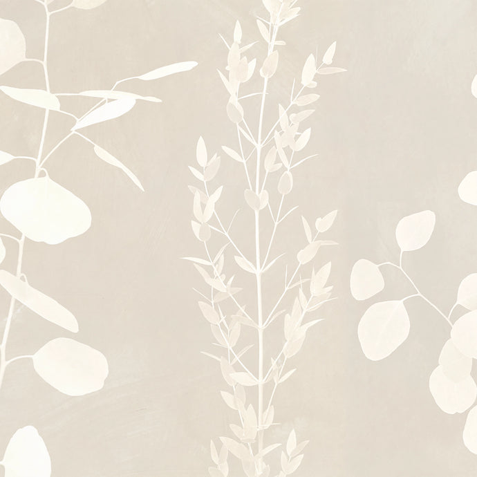 Gunnii Light Wallcovering