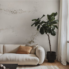 Load image into Gallery viewer, Igneous Granite Wallcovering
