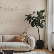 Load image into Gallery viewer, Igneous Sand Wallcovering