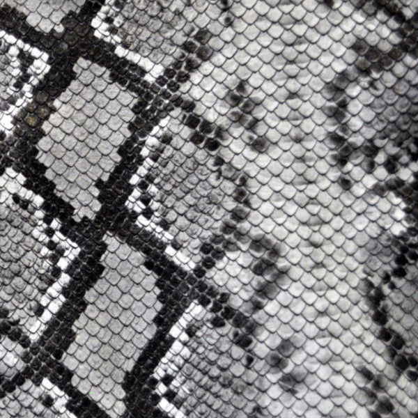 Python Clipart Black And White Snake Clipart Black And White