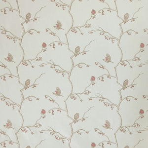 The English Robin - Parchment Fabric