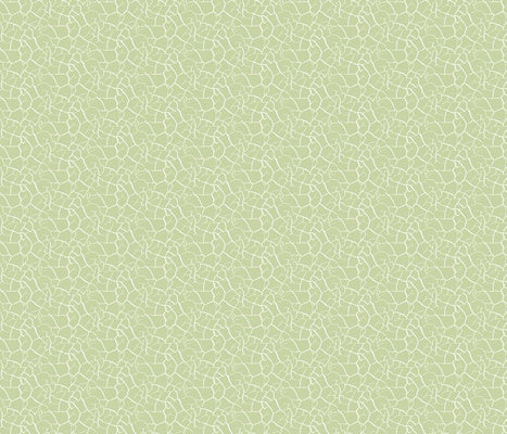 Crackle Minty White Fabric