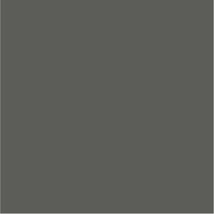 ColorGlass | Seattle Grey
