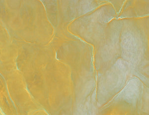Copal Amber Wallcovering