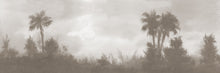 Load image into Gallery viewer, Distant Palms Sepia Wallcovering