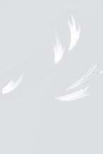 Load image into Gallery viewer, Falling Feather Dove Grey Wallpaper
