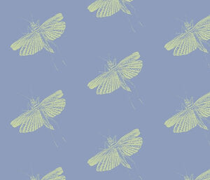 Flying Hopper Faded Jeans Celery Fabric