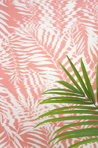 Hazy Palm in Coral
