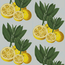 Load image into Gallery viewer, Italian Lemons Diamond Fabric