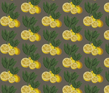 Load image into Gallery viewer, Italian Lemons Mood Ring Fabric