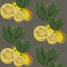 Load image into Gallery viewer, Italian Lemons Mood Ring Fabric