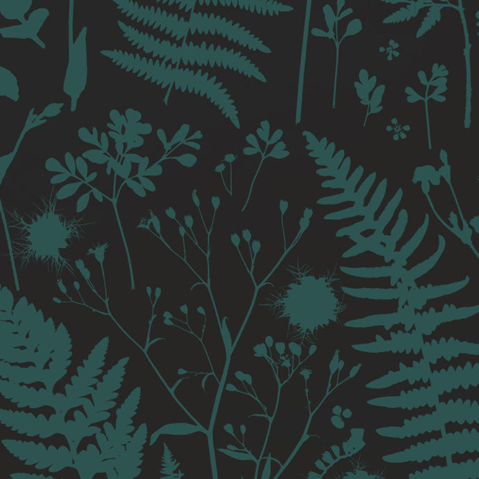 Forage - Green on Black Wallcovering