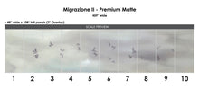 Load image into Gallery viewer, Migrazione II Wallcovering