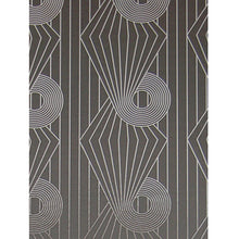 Load image into Gallery viewer, Minispiral Charcoal Silver Wallcovering