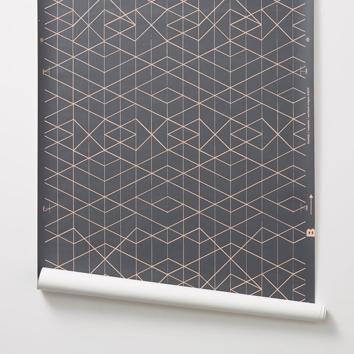 Range - Tangerine on Dark Grey Wallcovering